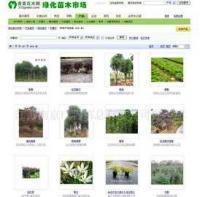 專業企業網頁設計與維護服務 構建數字化形象，驅動業務增長